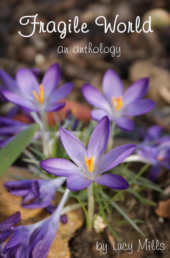 Fragile World - the new cover for the Kindle edition