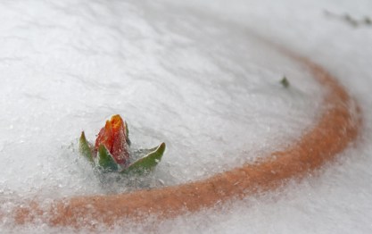 Chronic illness results in paradox - longing not to be alone but too exhausted to reach out; feeling isolated but then being drained by too much social activity. We - and it is 'we', for there are many of us - live in that difficult balance. It's a balance that even the most practised of us often lose, because although in adapting to our situation things can get easier, they never get easy. www.lucy-mills.com