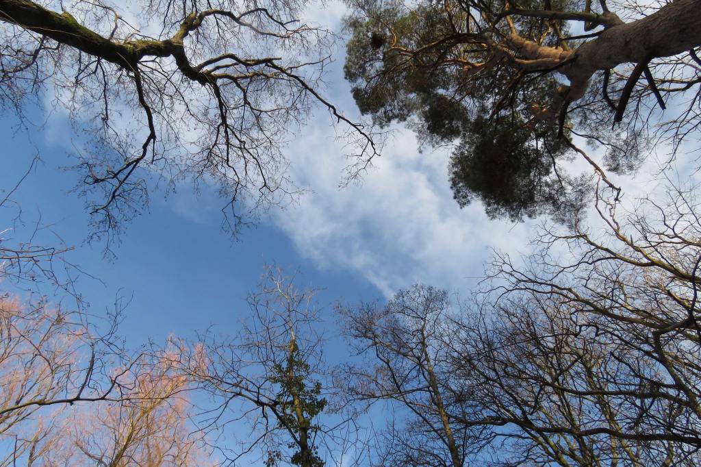 all things are&nbsp;possible